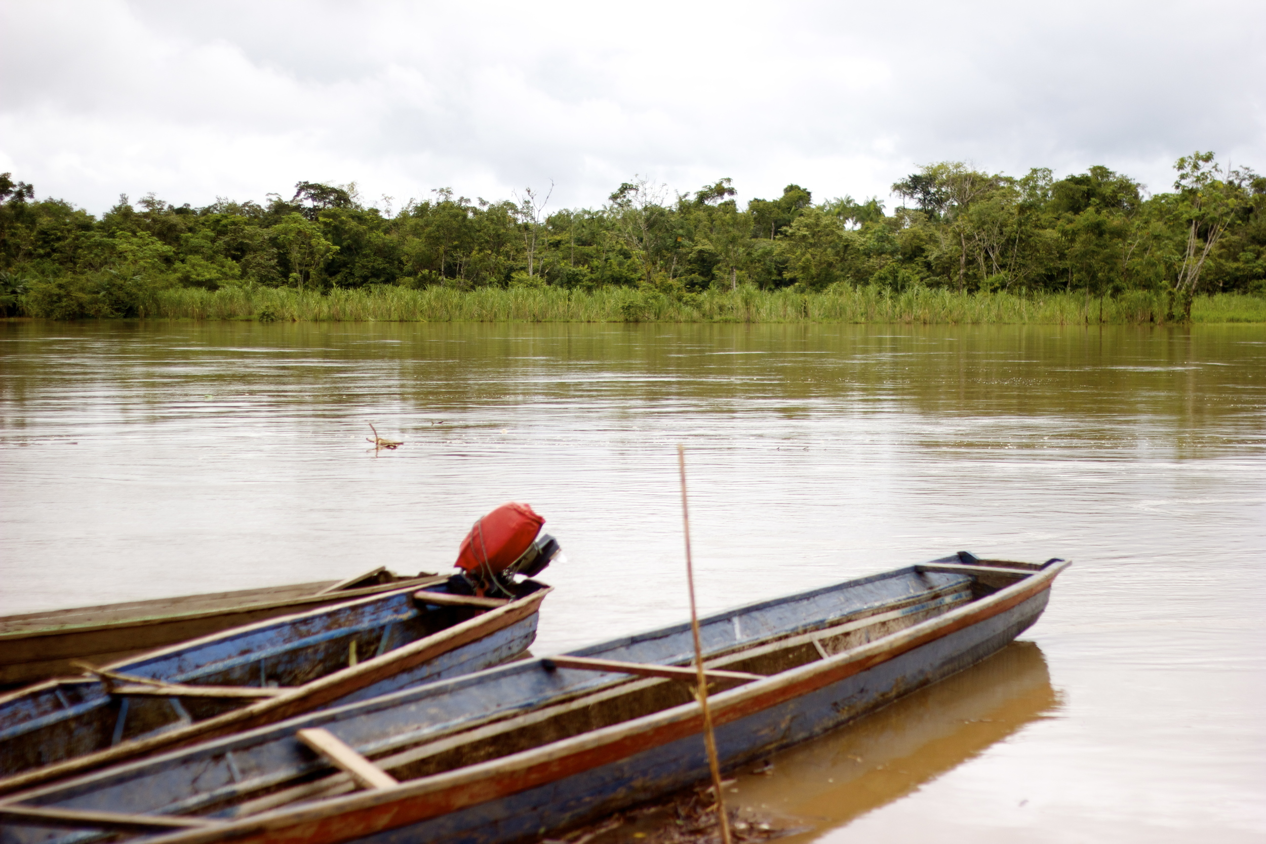 Tanguí, 2013. 