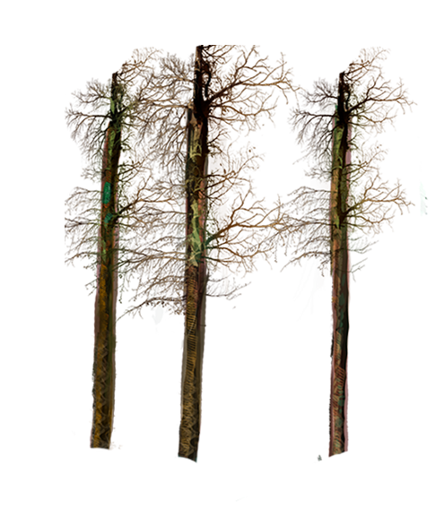 trees and grass1.png