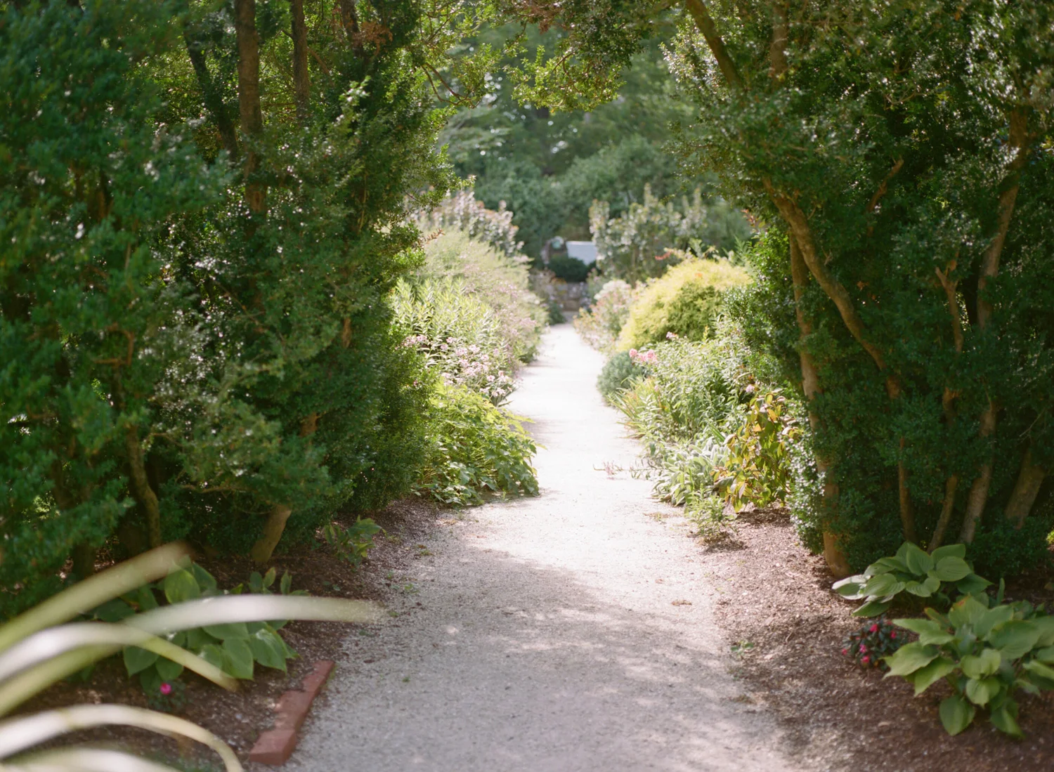 592-oatlands-plantation-virginia-film-wedding-photographer.jpg