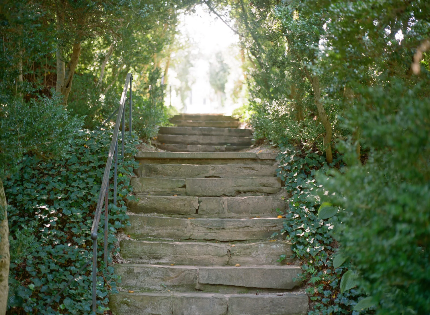 596-oatlands-plantation-leesburg-virgina.jpg