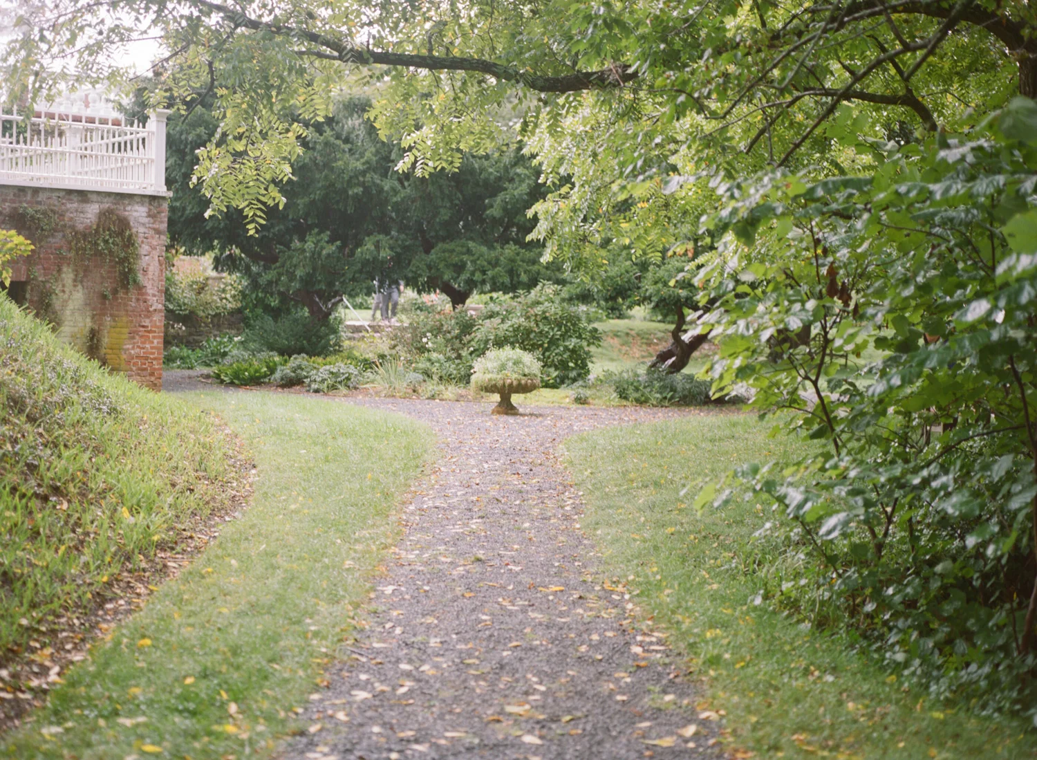 629-oatland-plantation-wedding-leeseburg-virginia.jpg