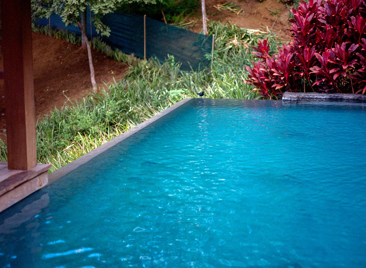 450-surfing-in-tamarindo-costa-rica.jpg