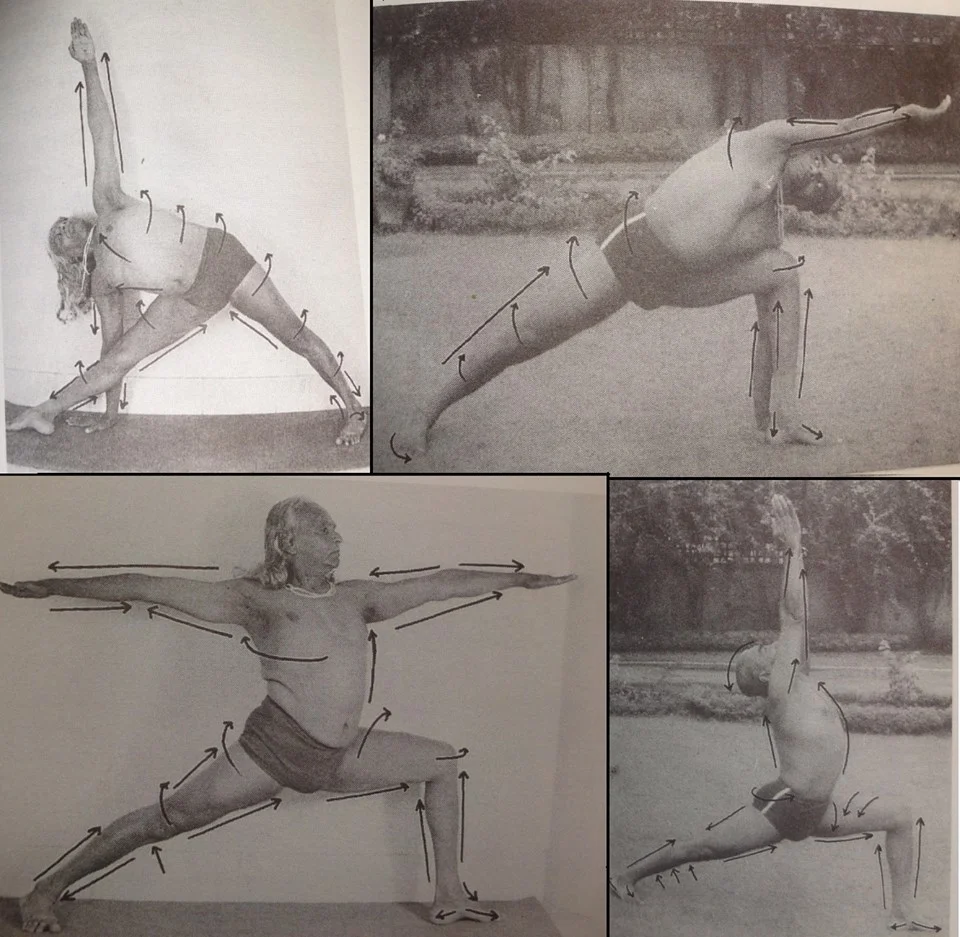 Guruji asana with directional lines.jpg