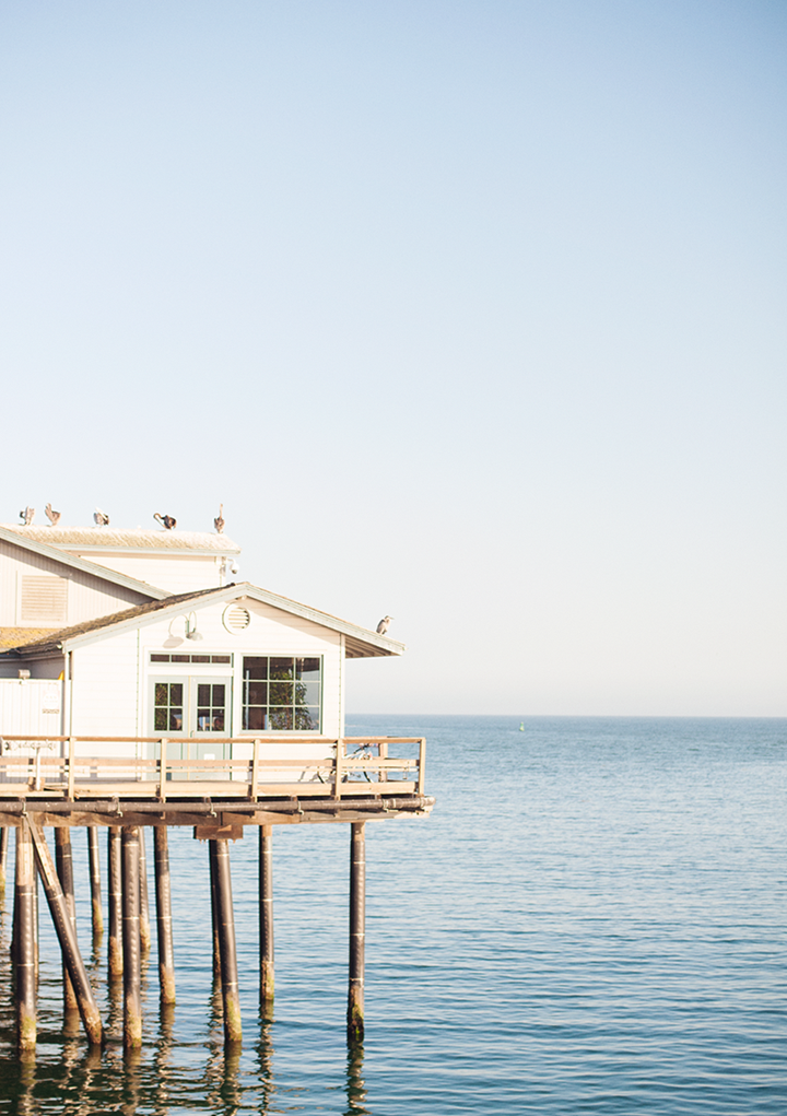 radostina_photography_the_ocean.png
