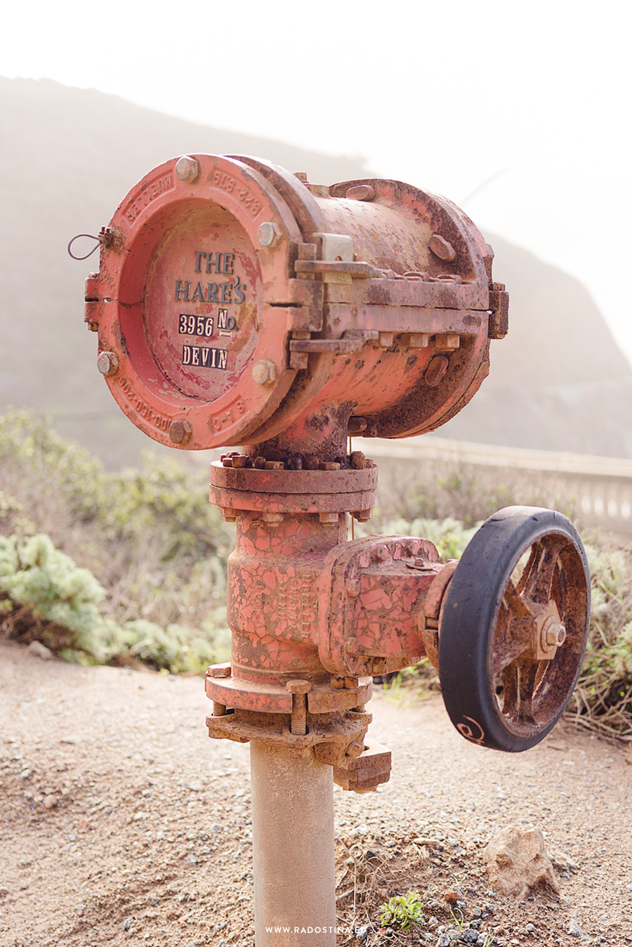 radostina_bixby_bridge_03.png
