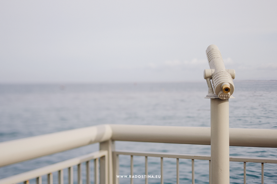 radostina_monterey_bay_aquarium_05a.png