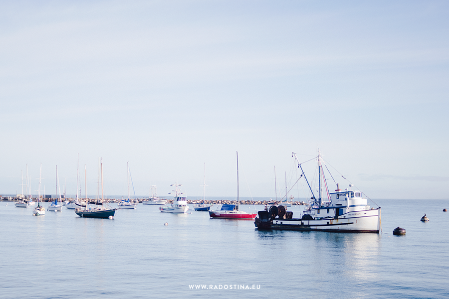 radostina_monterey_the_city_01.png