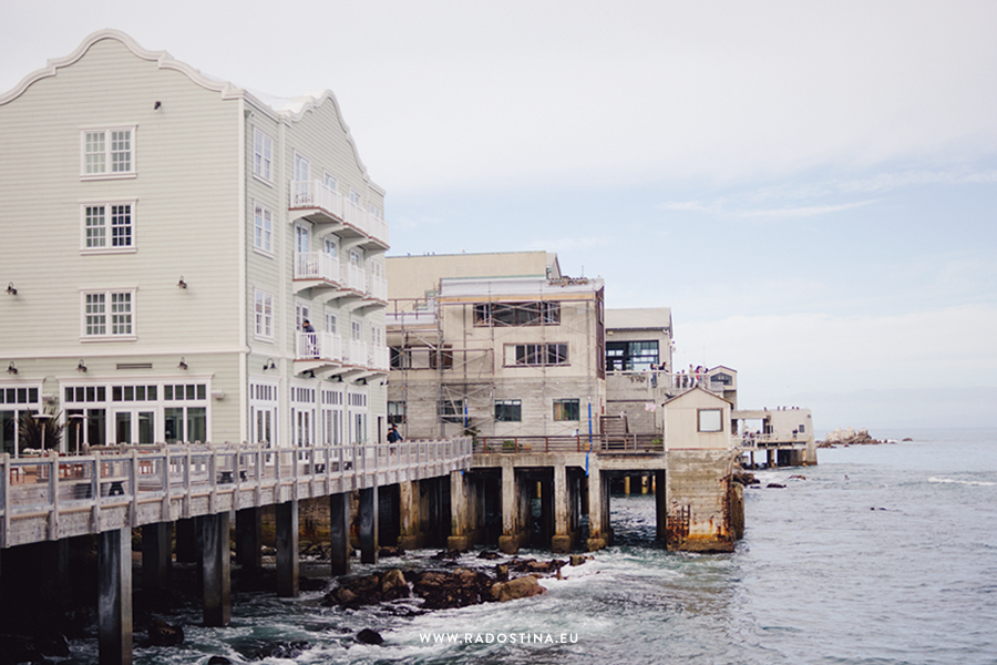radostina_monterey_the_city_03.png