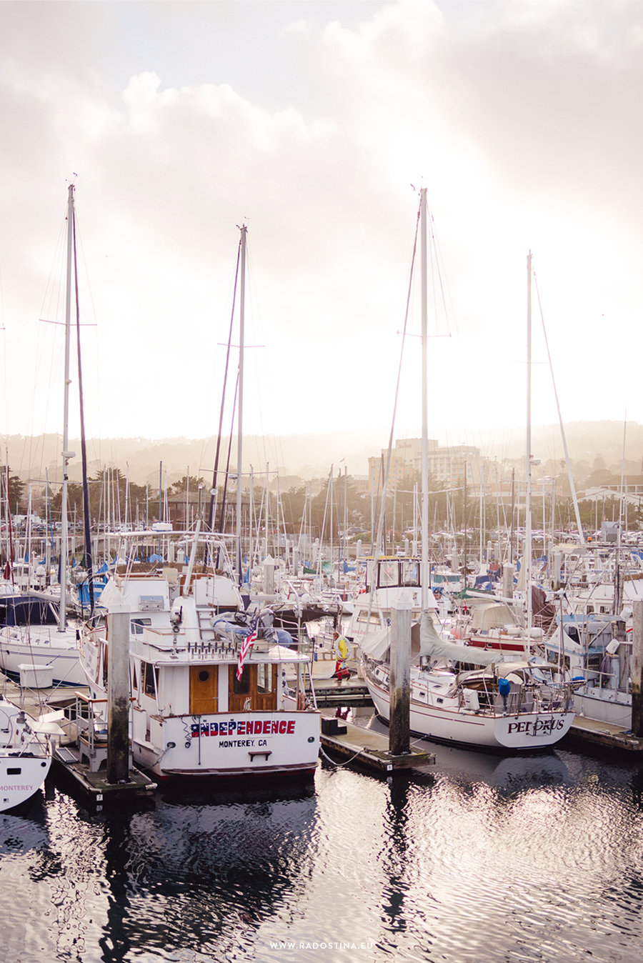 radostina_monterey_the_marina_01.png