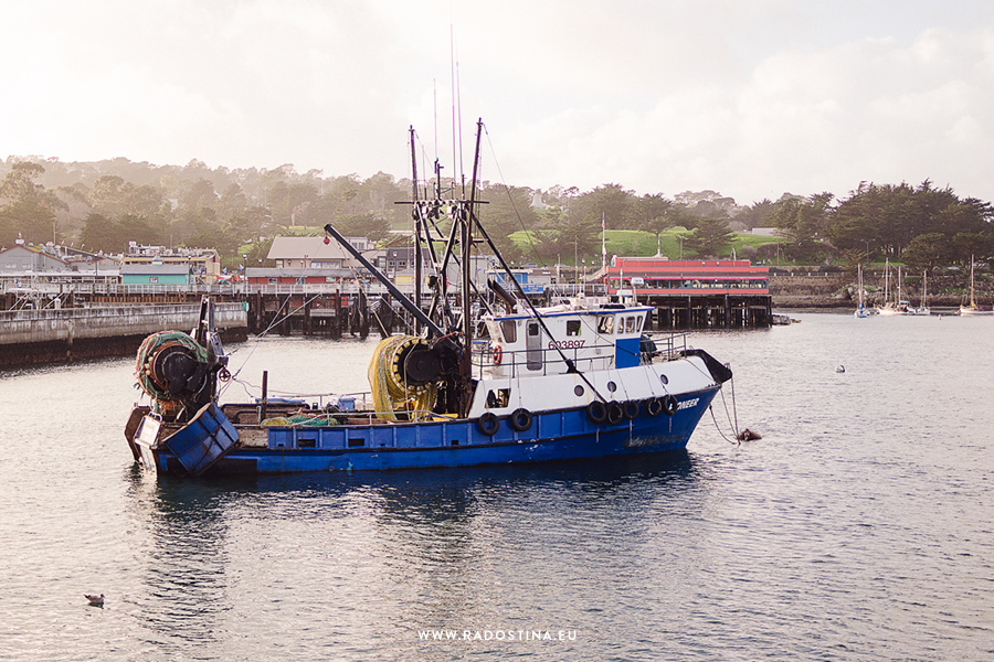 radostina_monterey_the_marina_08.png