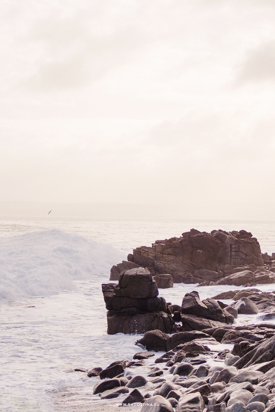 radostina_surfers_00.png