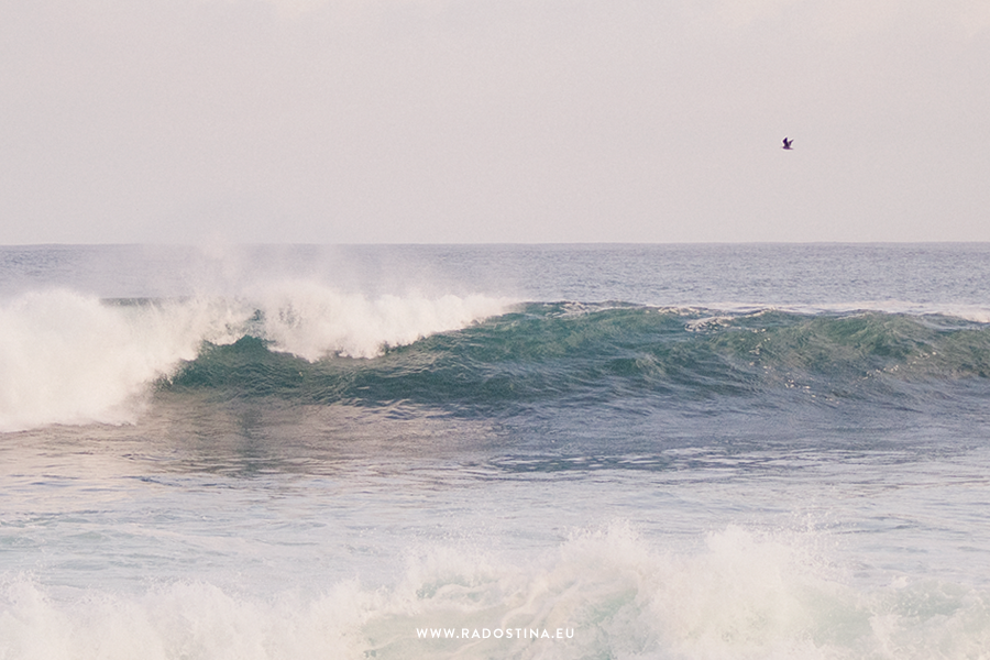 radostina_surfers_02b.png