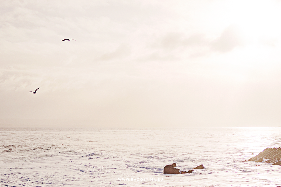 radostina_surfers_03.png