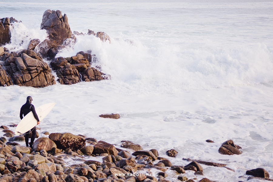 radostina_surfers_04a.png