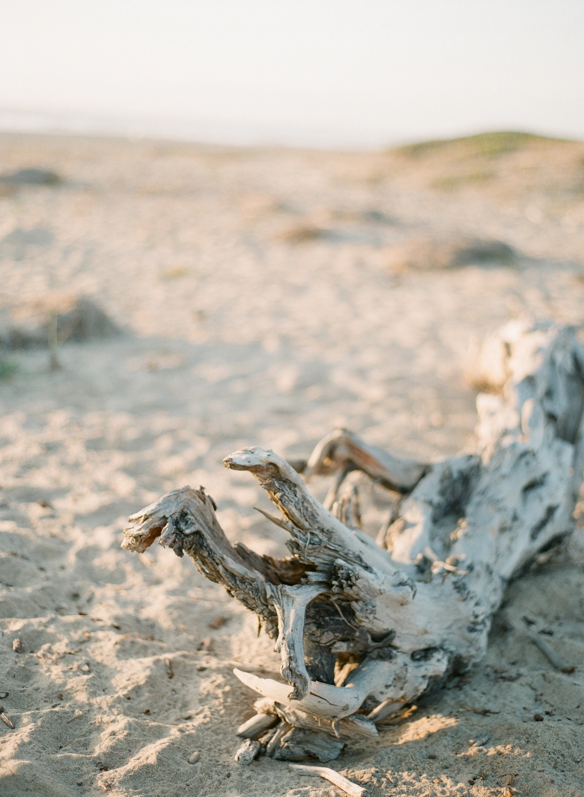Moss landing, California