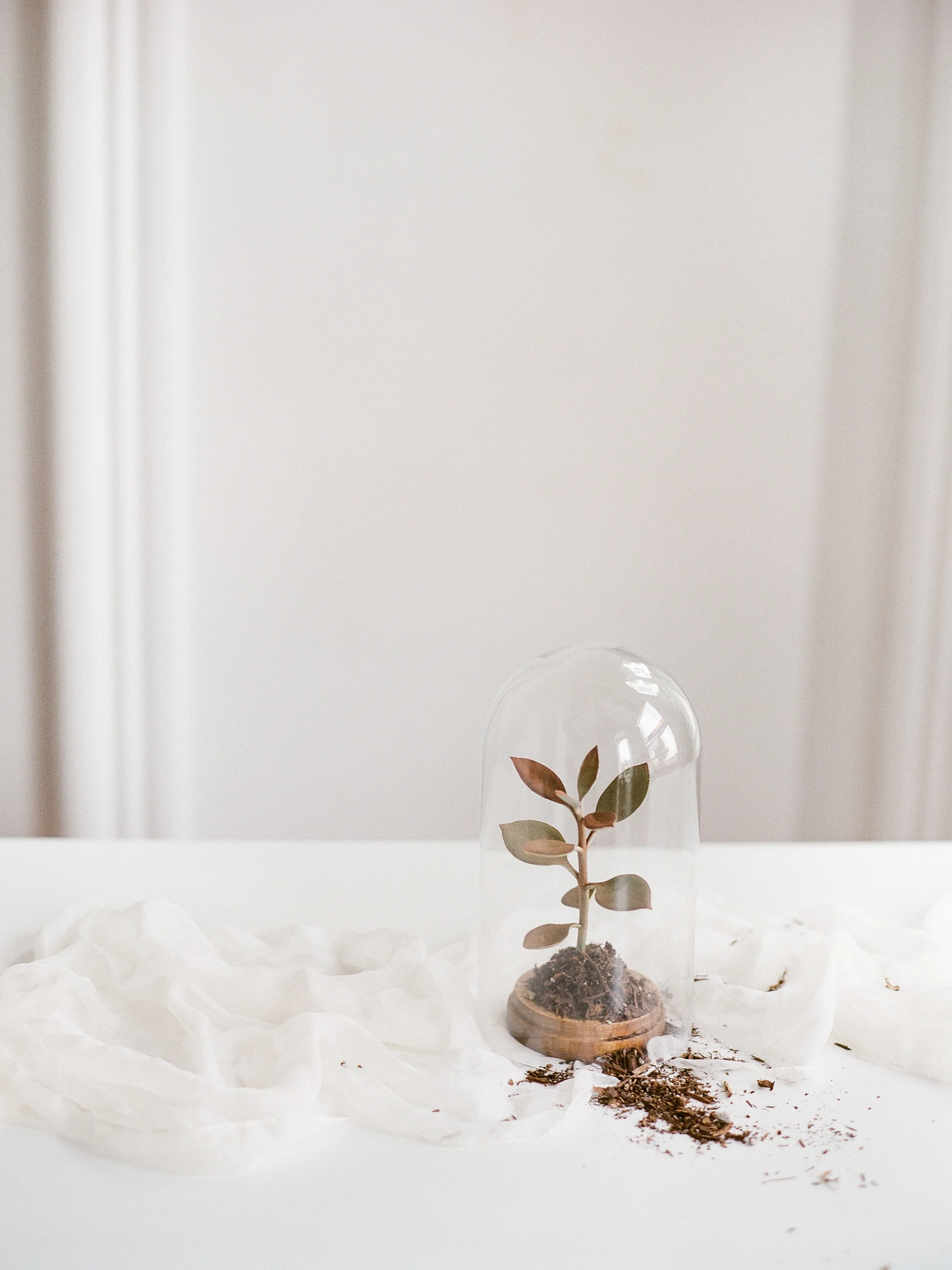 wedding minimal inspiration