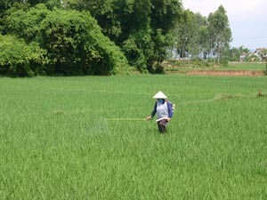 pesticide-spraying