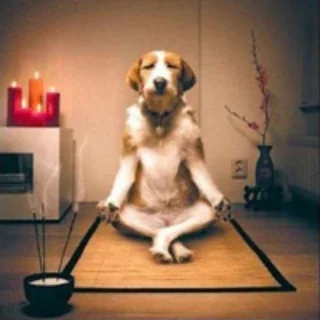 meditation
