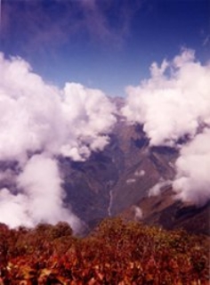 himalaya