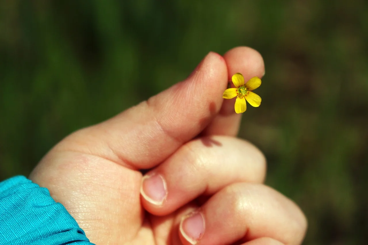 Does Yoga Teach Kindness?