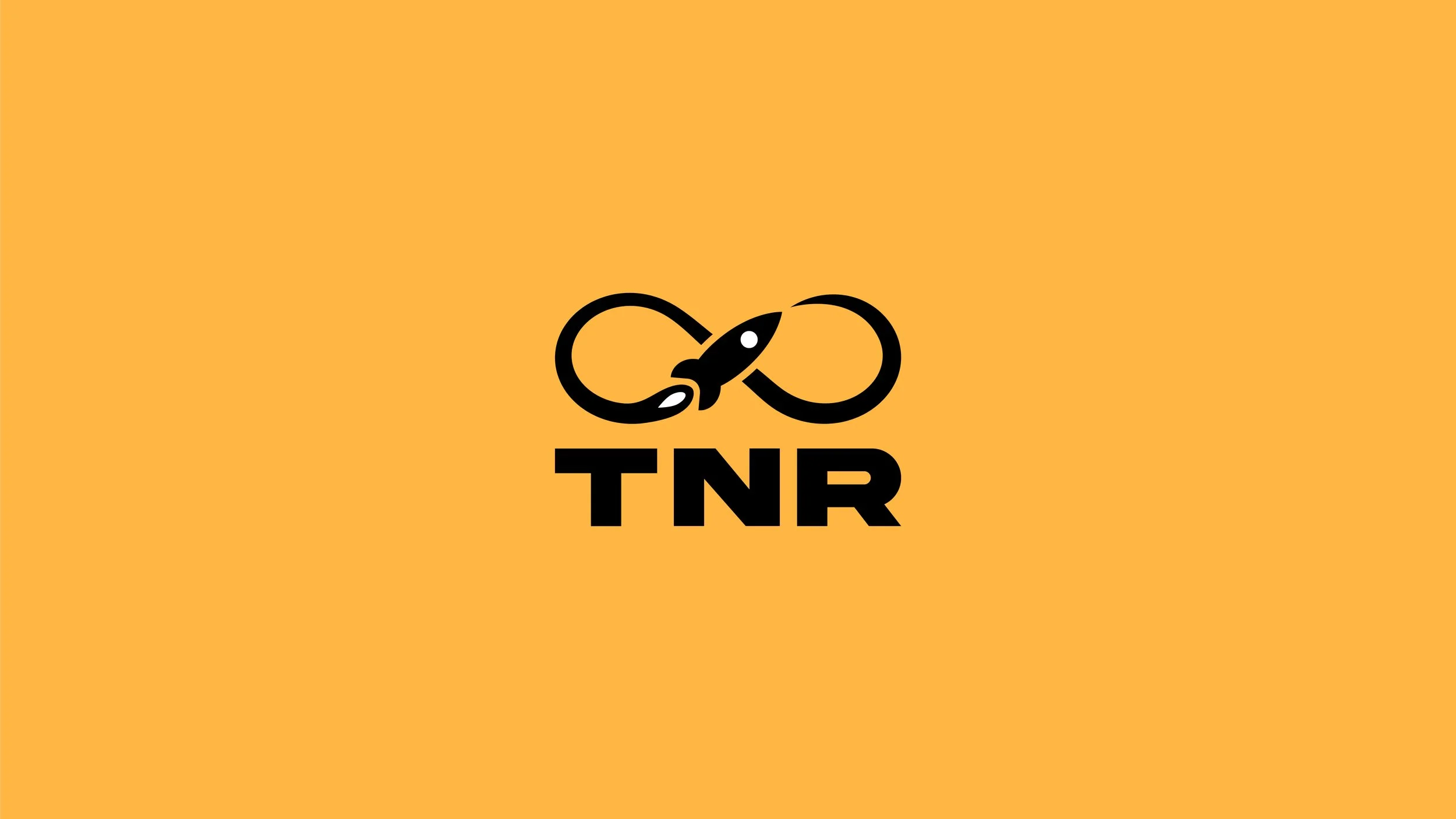 TURBONERD RECORDING CORPORATION©