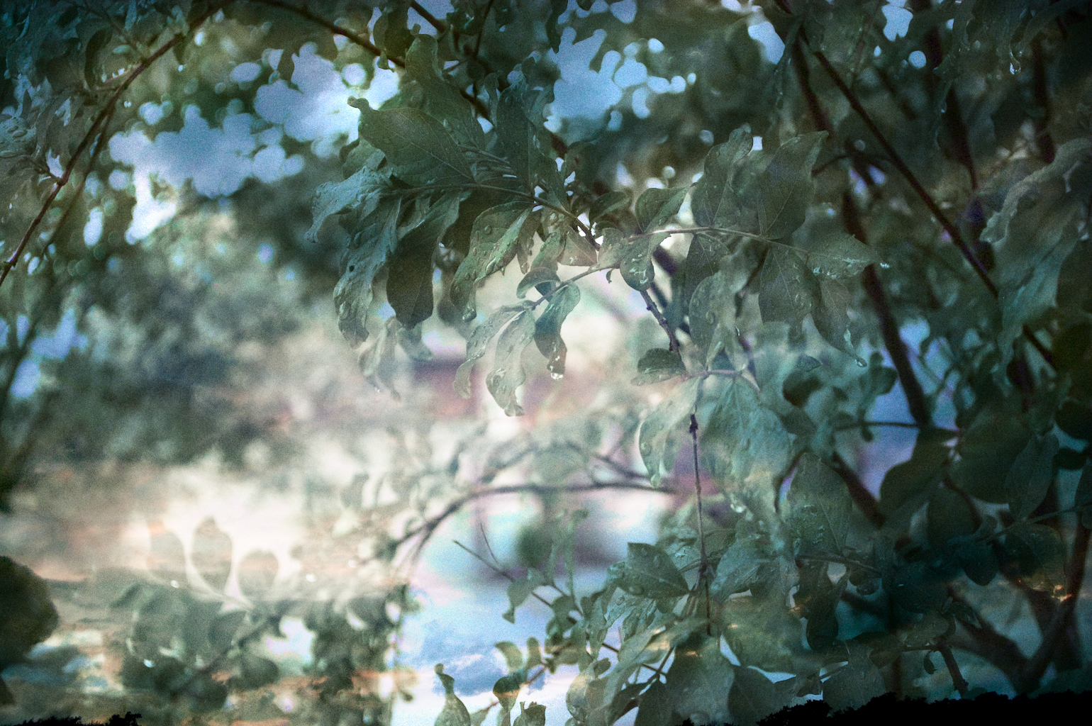 Landscapes3.jpg