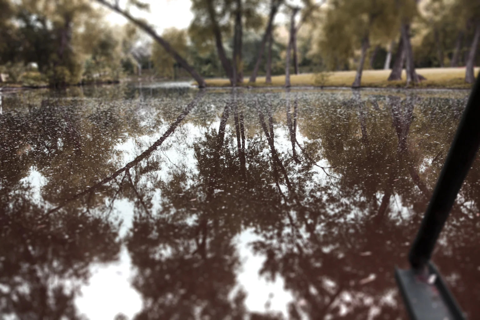 Landscapes8.jpg