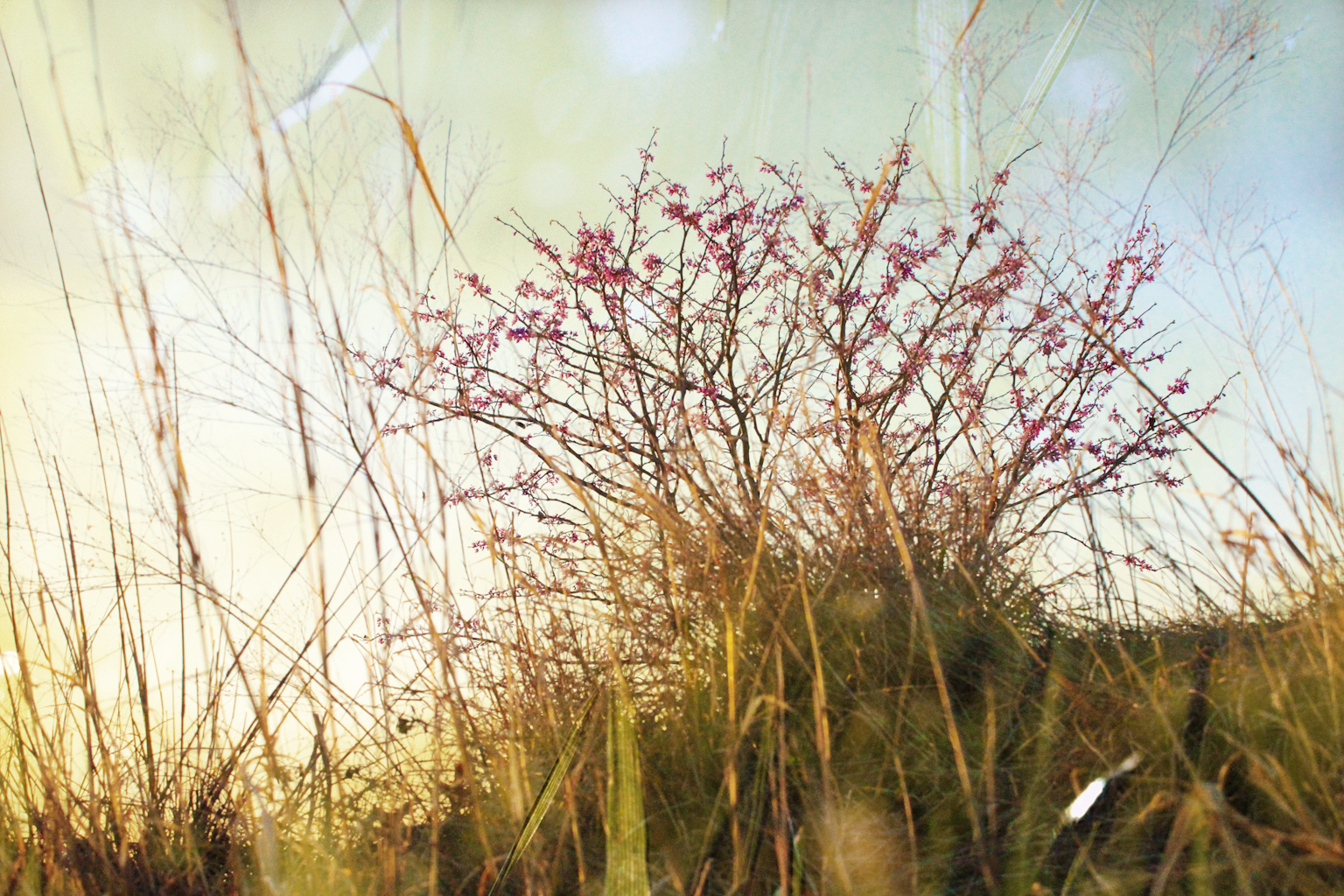 Landscapes7.jpg