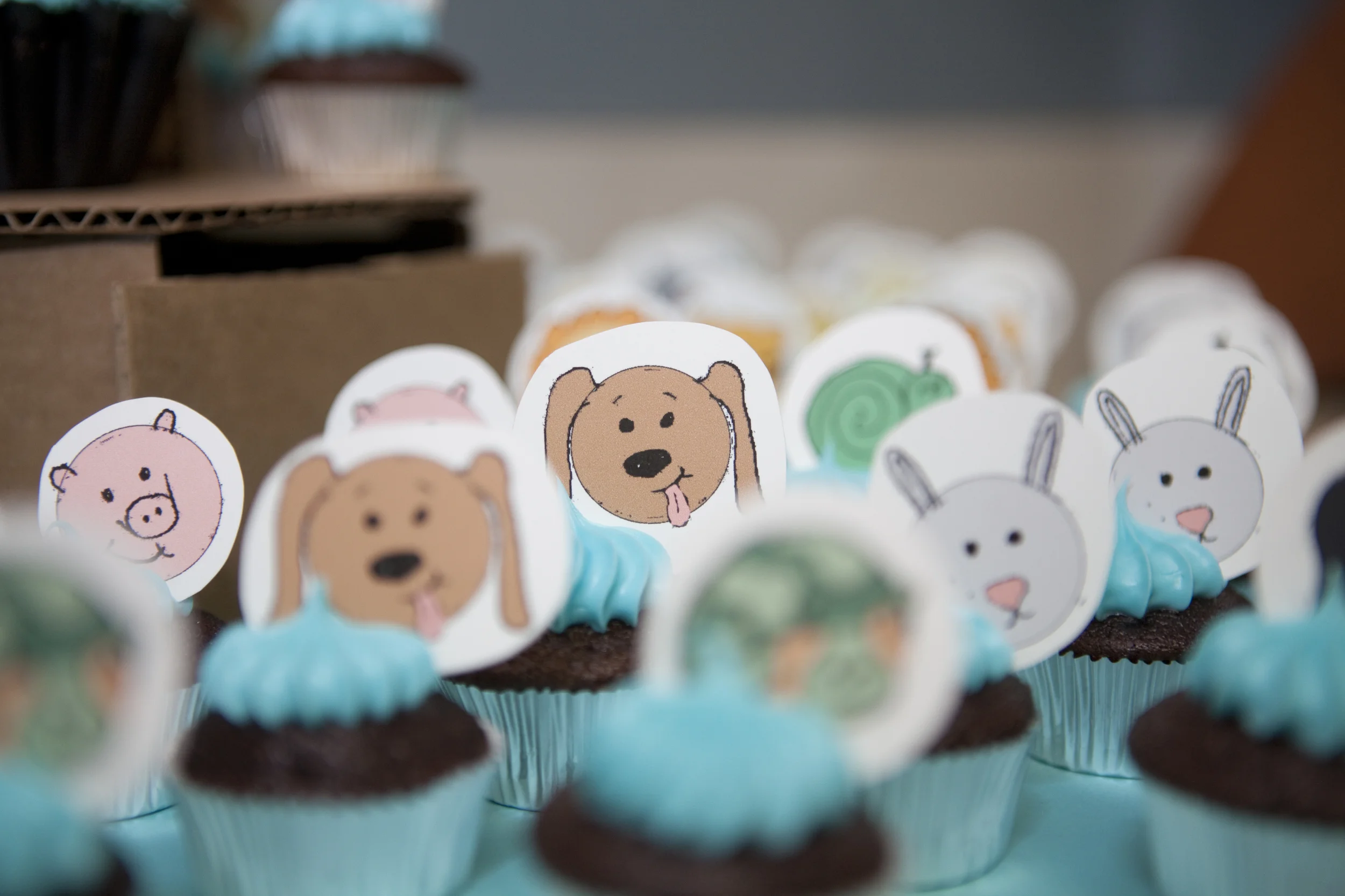 animal cupcakes