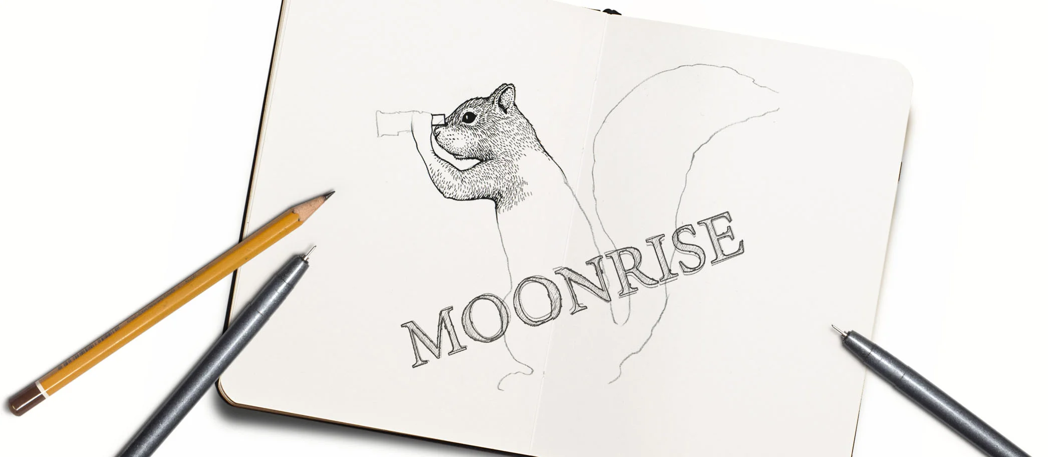 moonrise-about-2.jpg