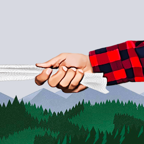 brawny.png