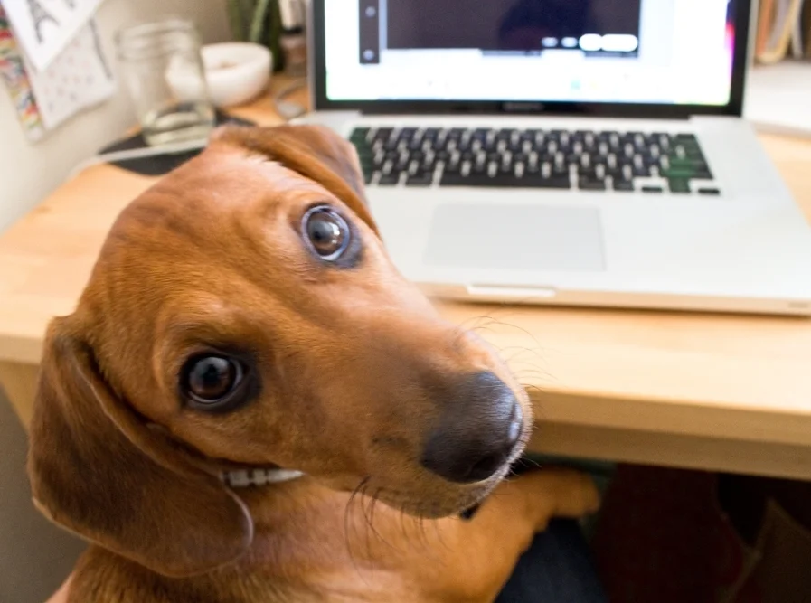Helping to answer customer emails
