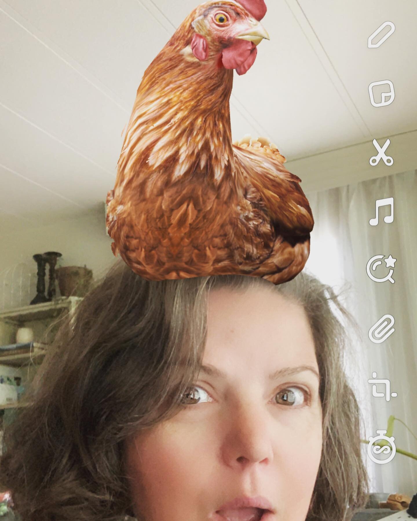 That moment you realize the AI has you figured out. I do frequently seem to end up with chickens on my head.