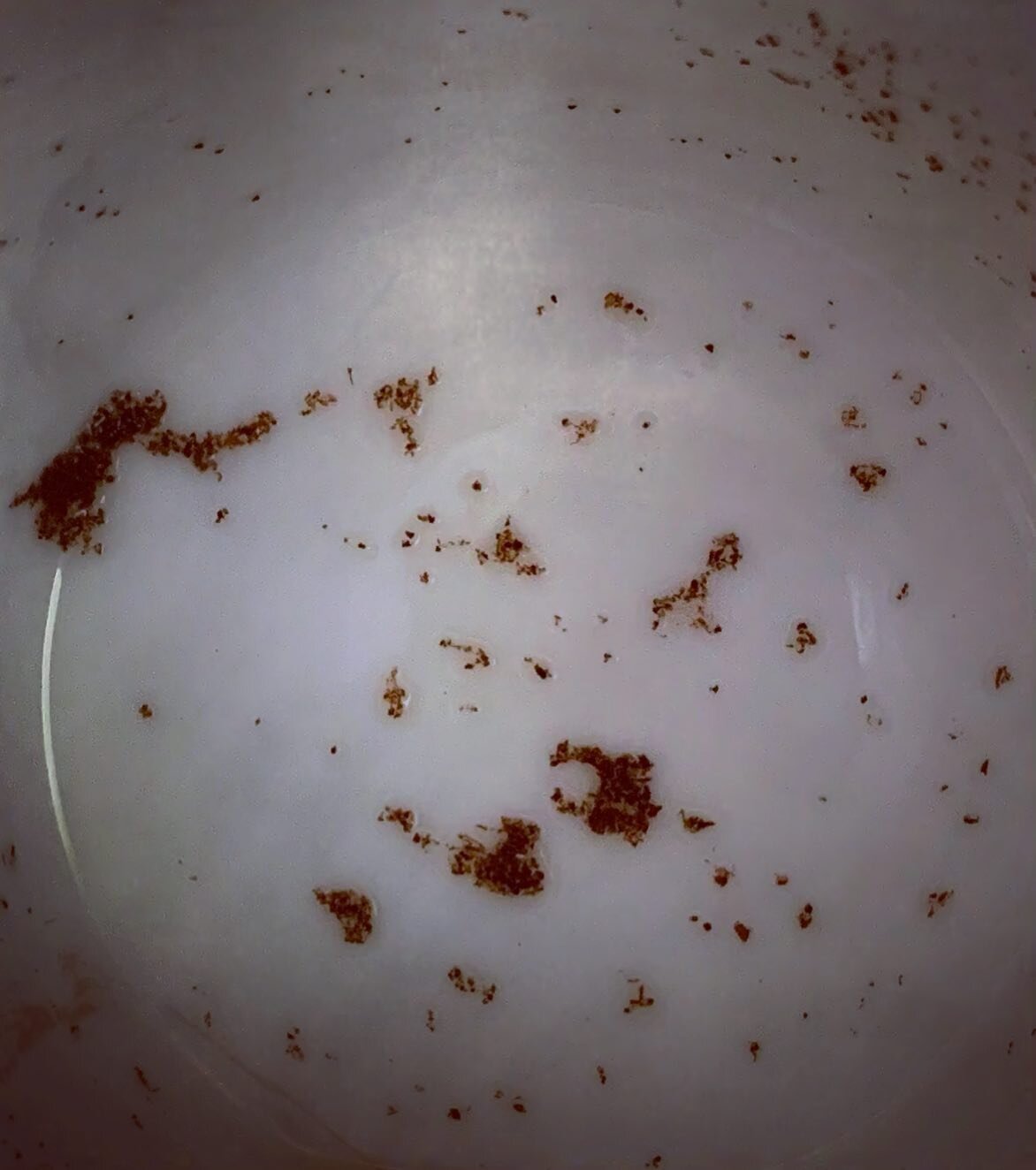 My #tealeaves. I see a polar bear. What do YOU see?