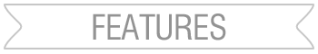 FEATURES BANNER copy.png