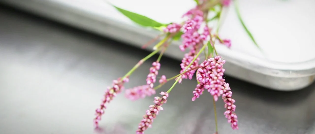 513 {eats} Autumn 2012