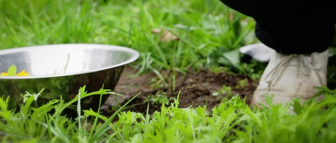 Please - A dinner at Carriage House Farm