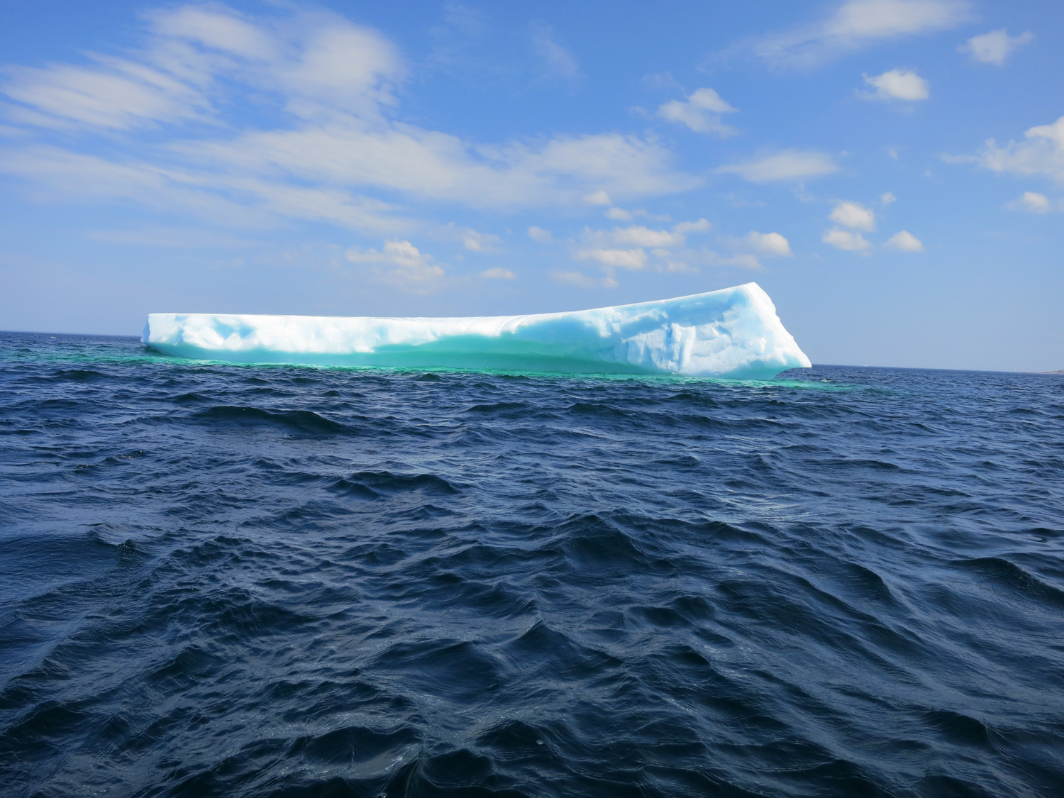 iceberg.jpg