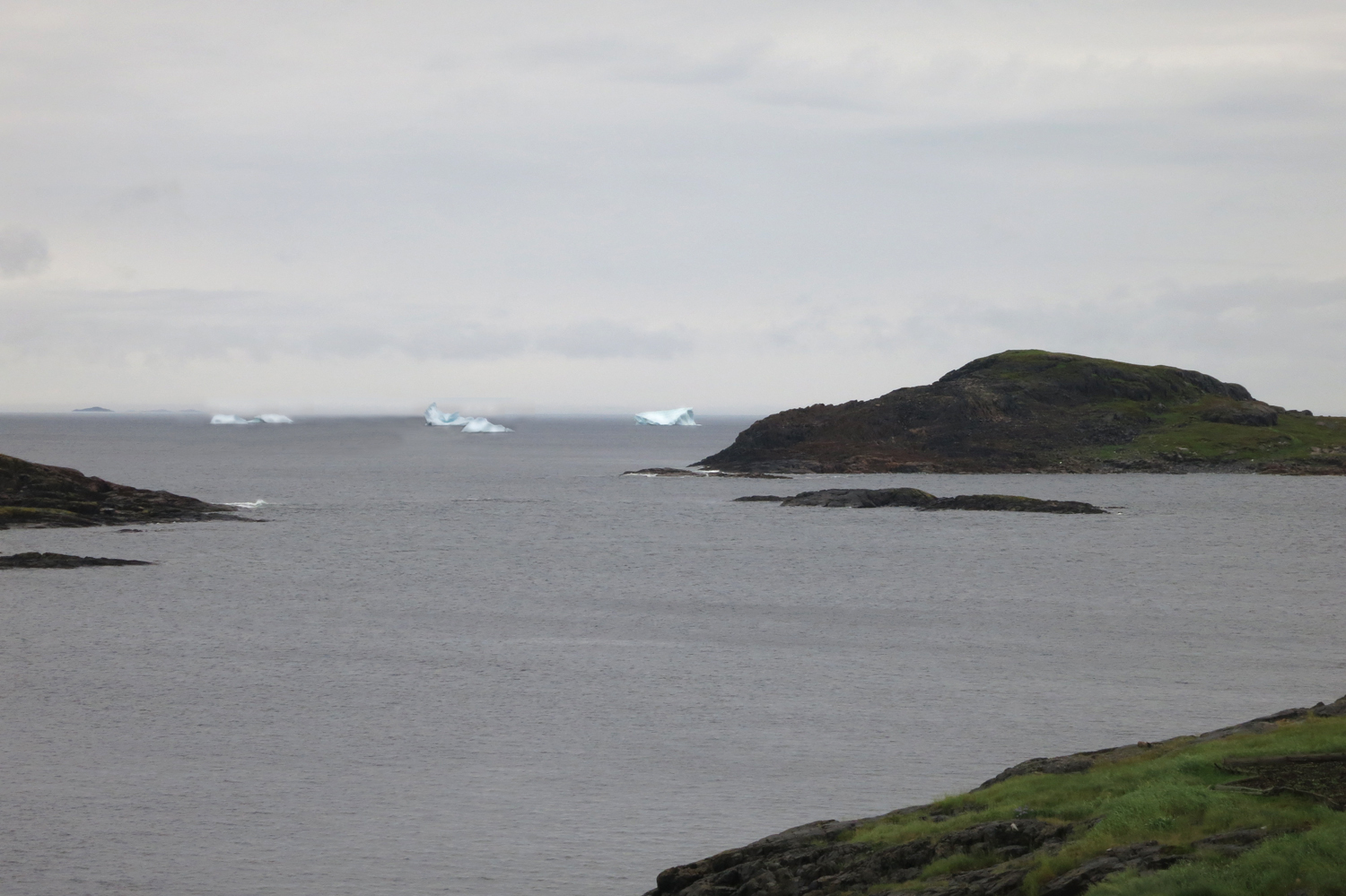 icebergs in Fogo.jpg