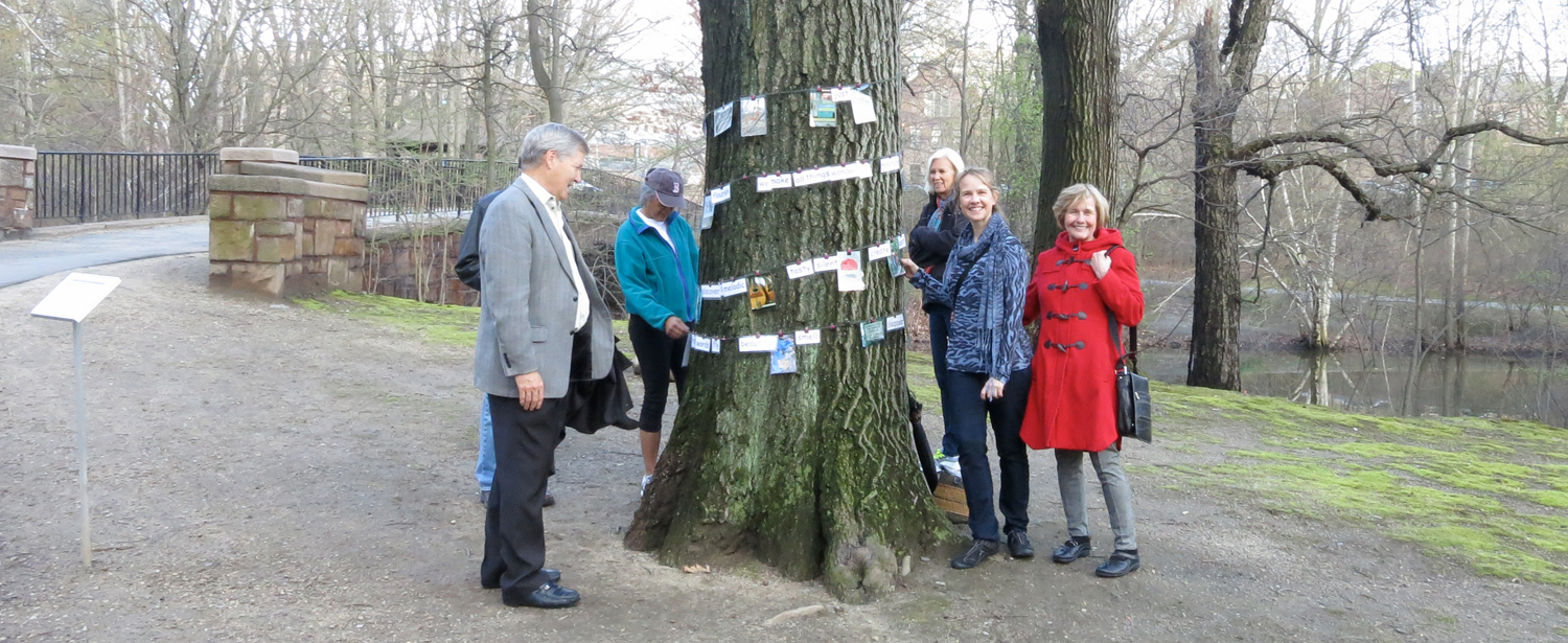 Park+visitors+playing+at+the+communiTree.jpg