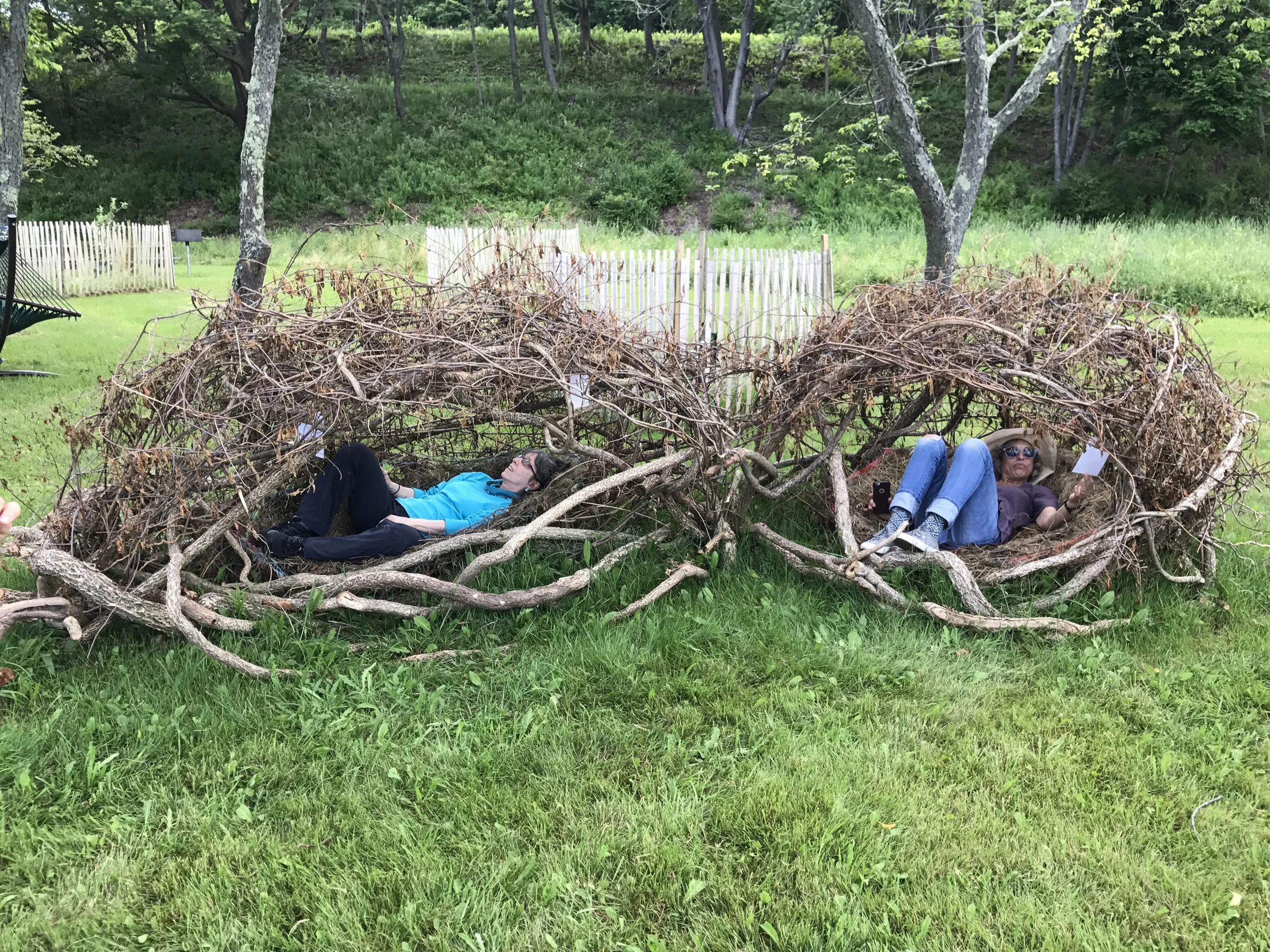 two nests Peddocks.jpg