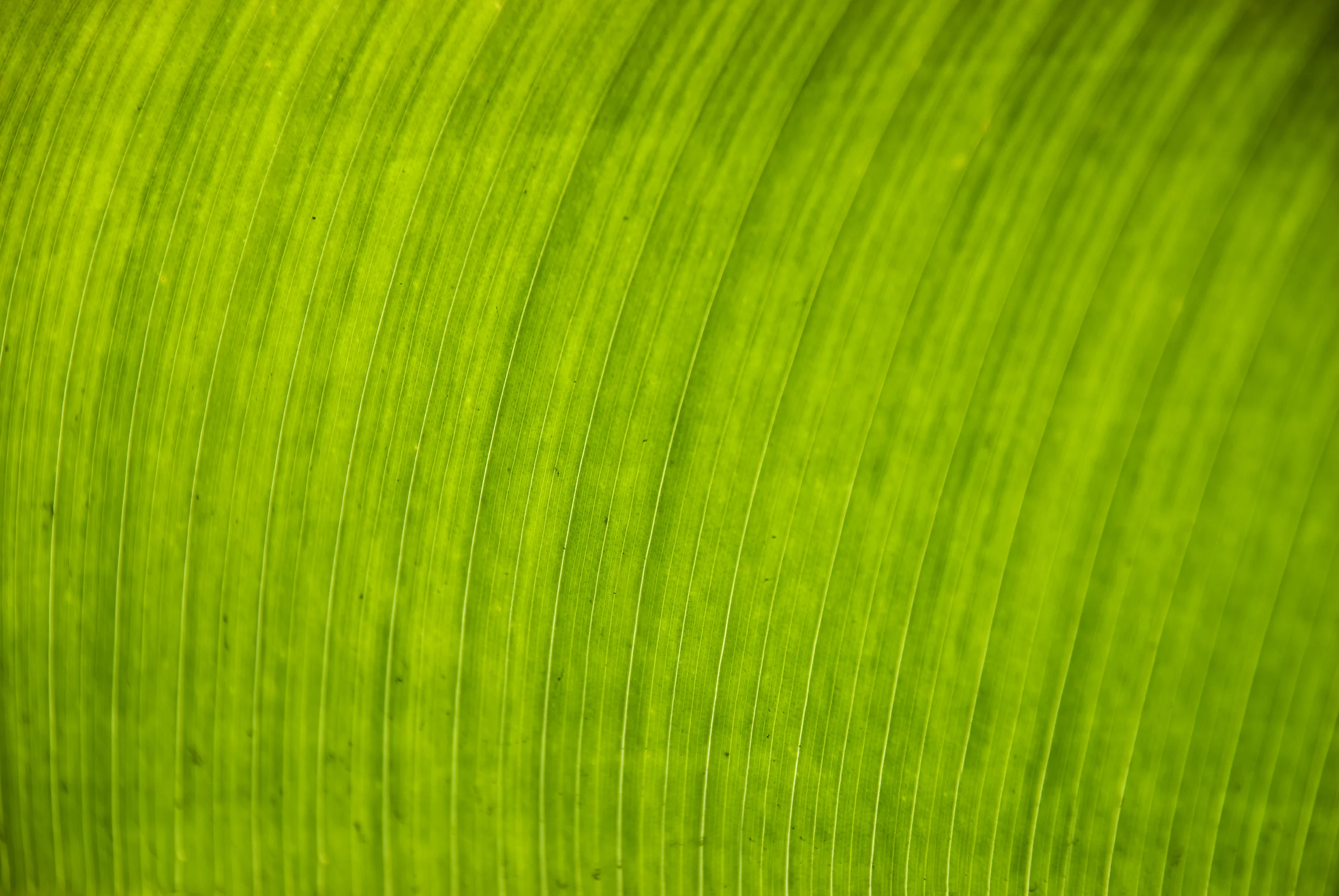 200902090640.jpg