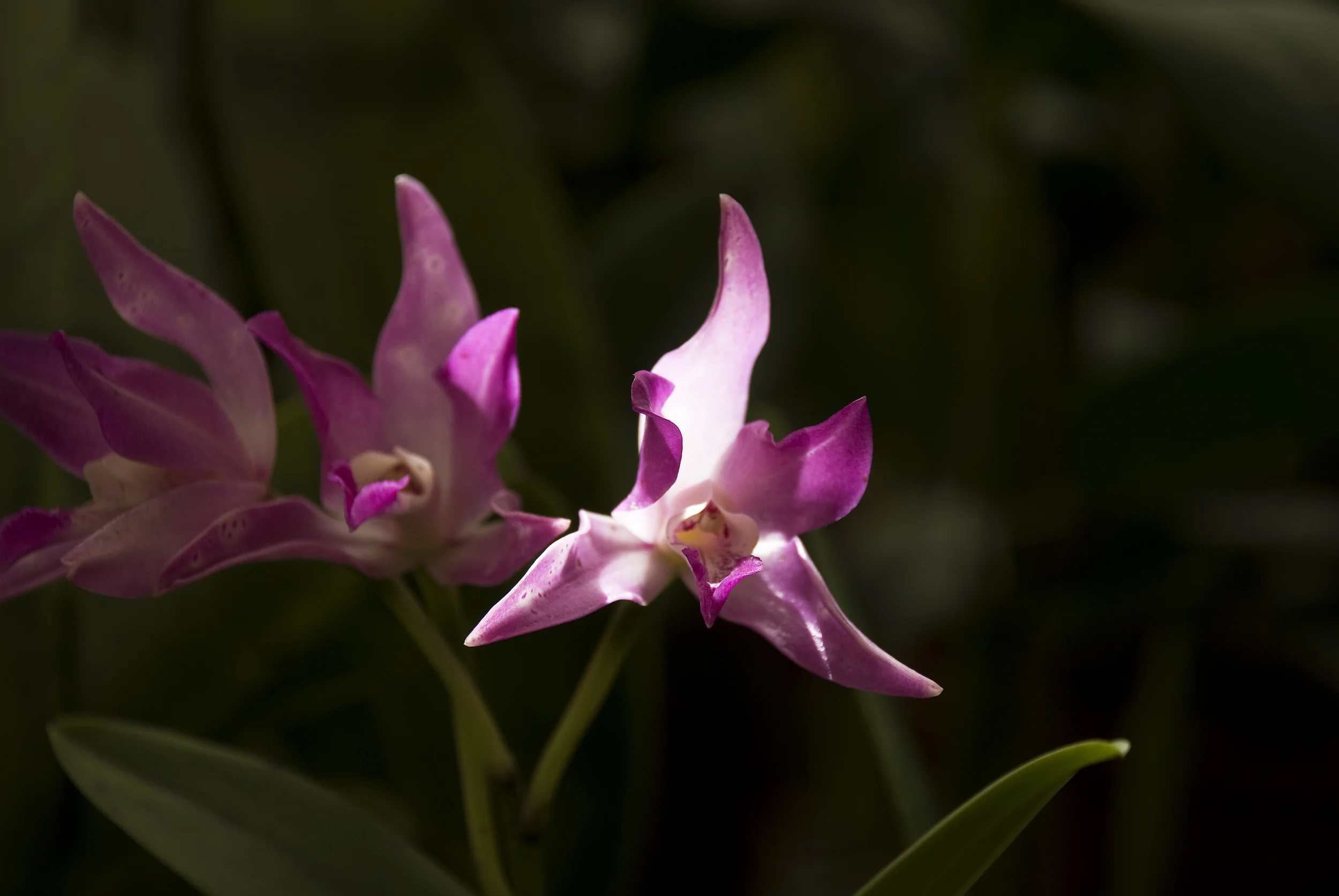 200902090642.jpg