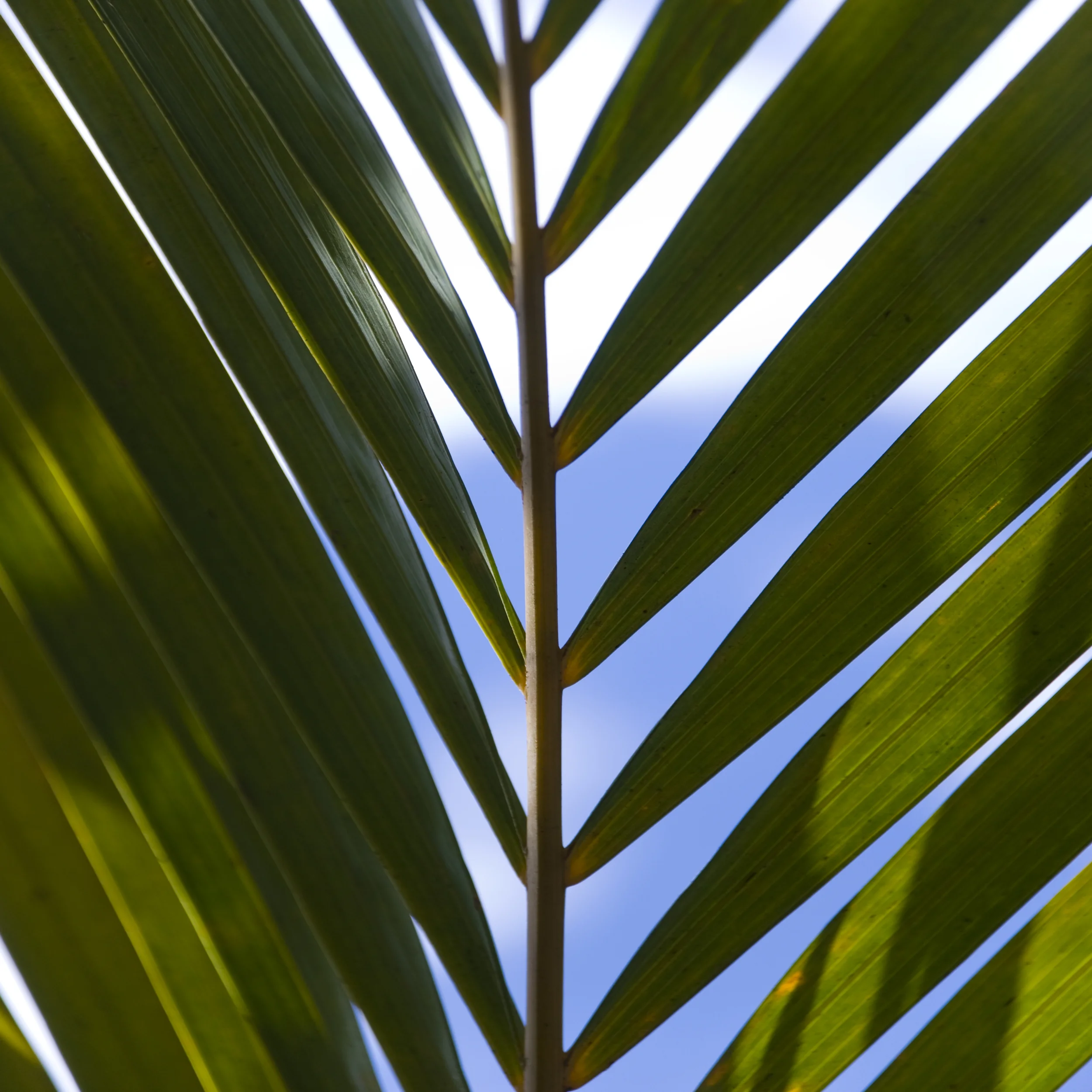 200902090678.jpg