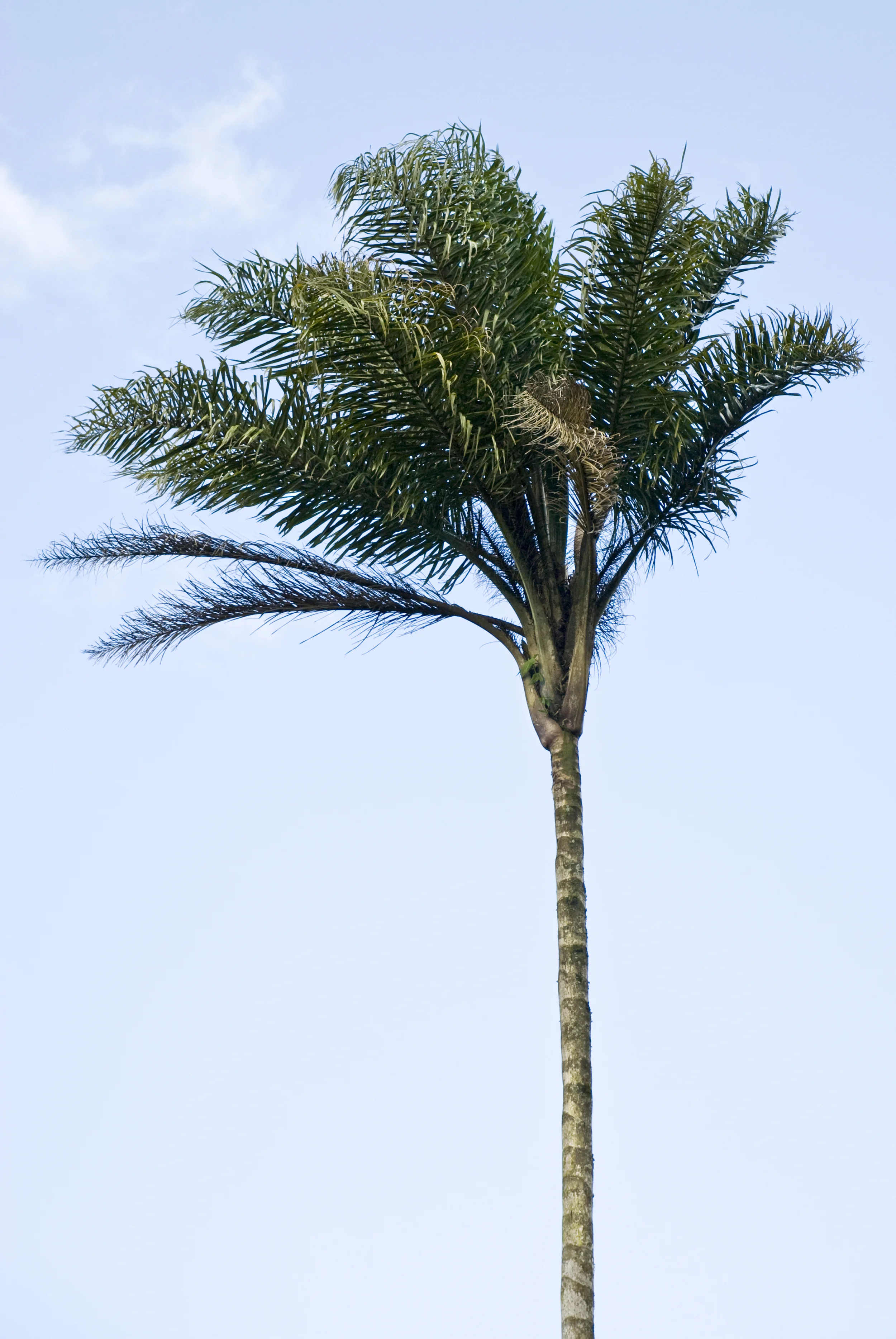200902090998.jpg
