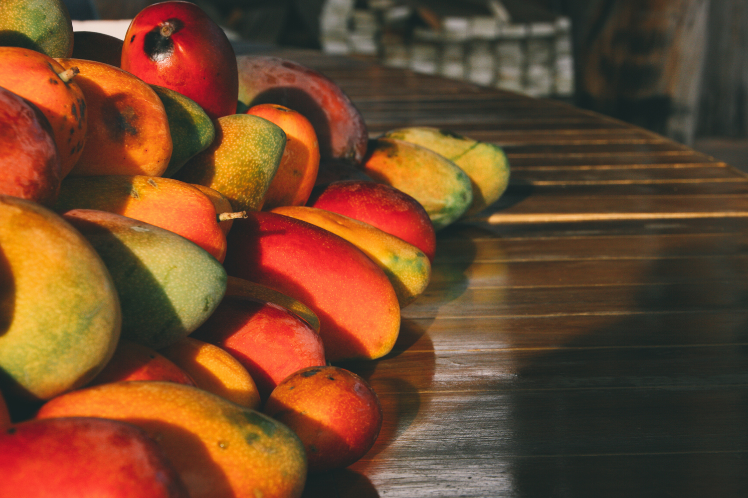 FruitPlanting_07.jpg