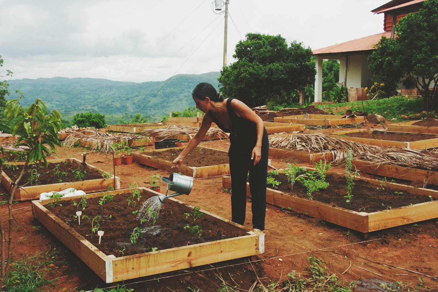 FruitPlanting_11.jpg