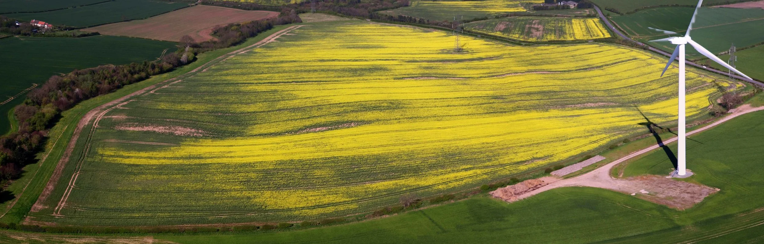 ... yet through the use of aerial imaging, assessing continued crop growth conditions and to detect any potential problems can be timely ascertained from the air.