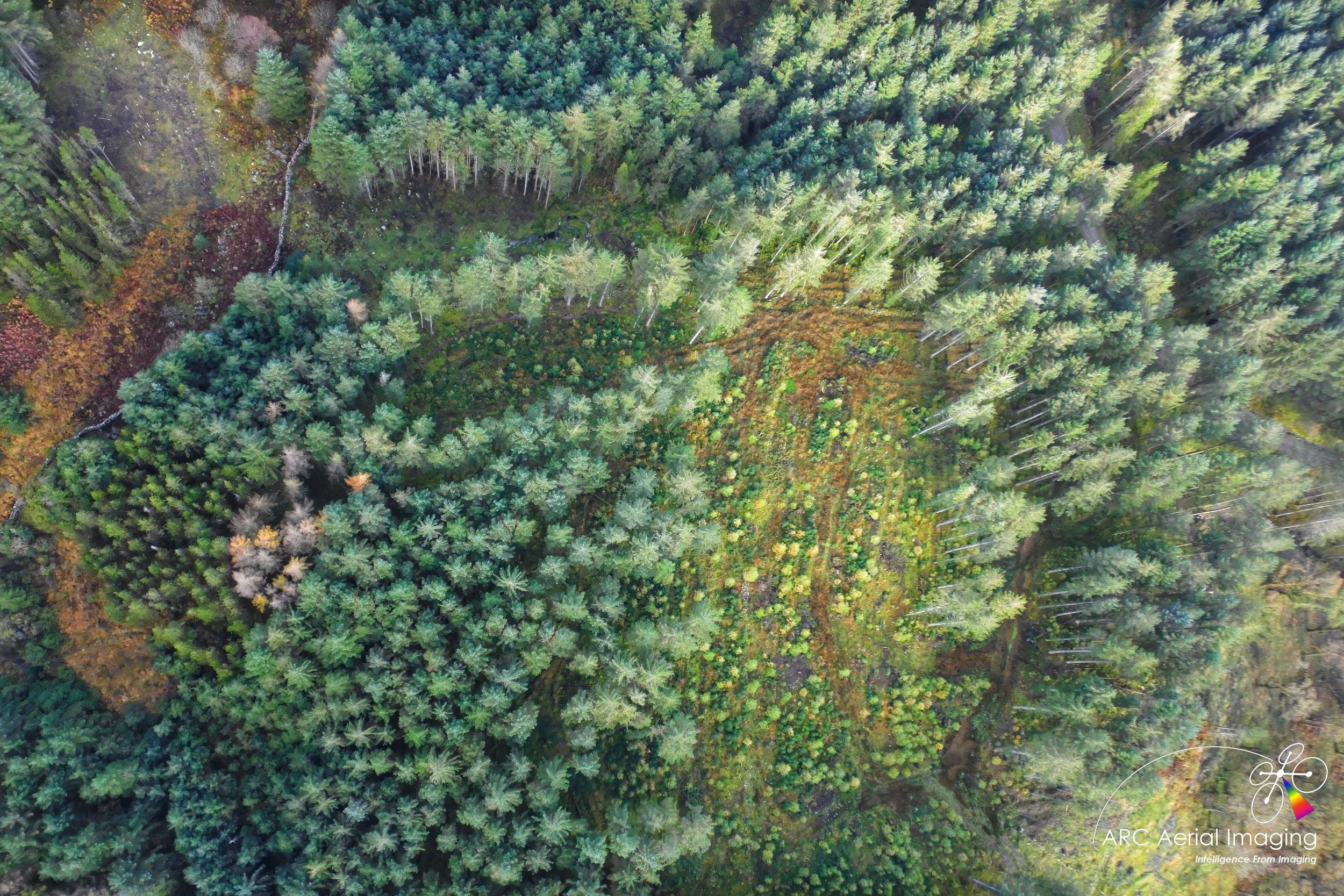 ARC Aerial Imaging-Drone Forestry Survey 3.JPG