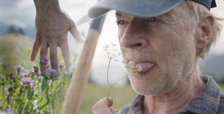 Ricola MiniMeadow.jpeg